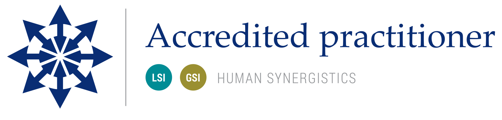 Human Synergistics LSI & GSI